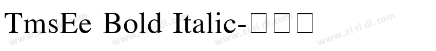 TmsEe Bold Italic字体转换